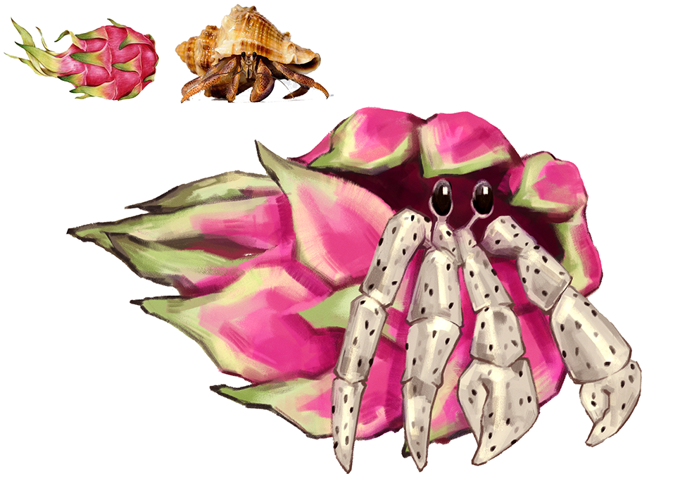 Fruit & Animal mash design